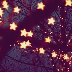 Meet your Posher, Velvety